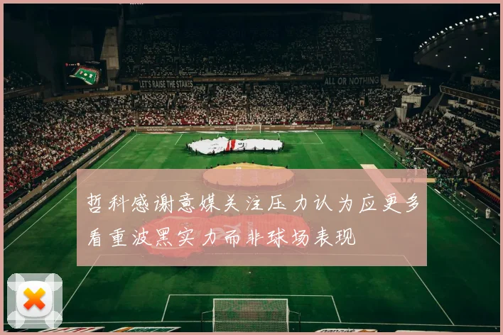 哲科感谢意媒关注压力认为应更多看重波黑实力而非球场表现