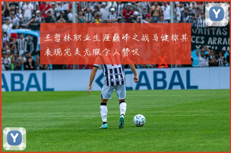 王哲林职业生涯巅峰之战马健称其表现完美无瑕令人赞叹
