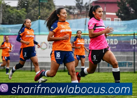 奖项2